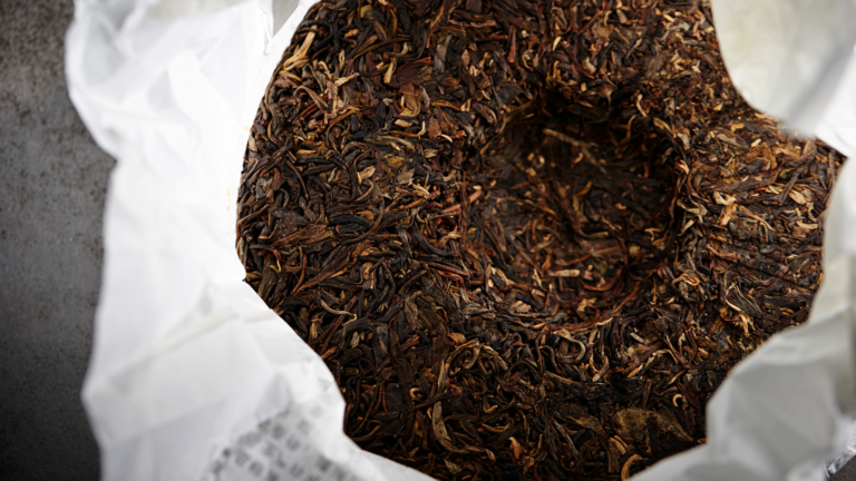 普洱茶餅怎麼泡？ 普洱茶刀 普洱茶茶包 普洱茶可以煮幾次